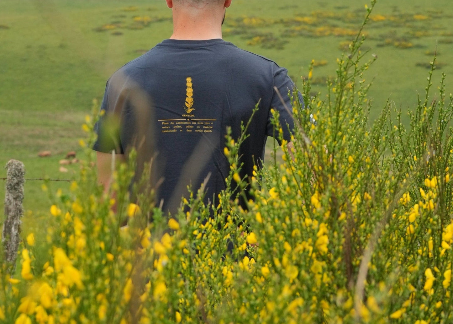 T-shirt gentiane