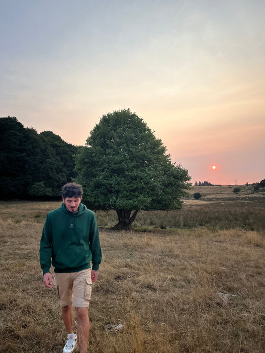 Sweat à capuche Braco - Hêtre Royal